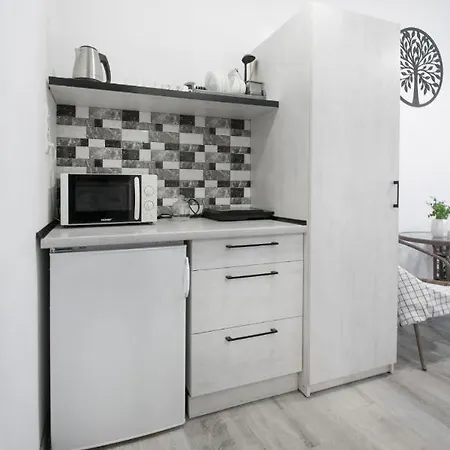 дворівнева в центрі міста Apartment